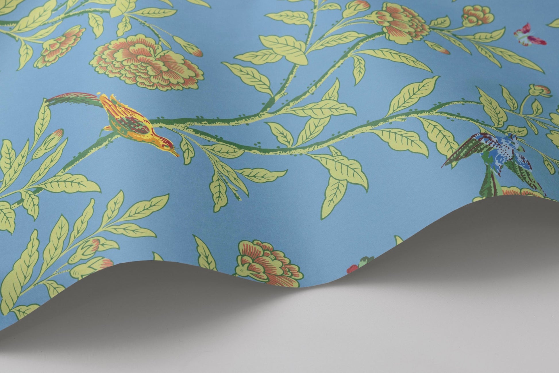 Cole & Son Roseberry with Birds - interior
