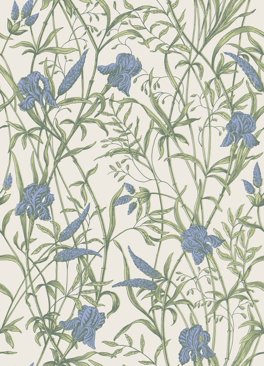 Cole & Son Iris wallpaper - Iris Blue on Stone
