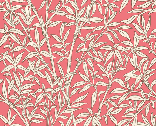 Cole & Son Bamboo Forest wallpaper - Chalk on Rouge