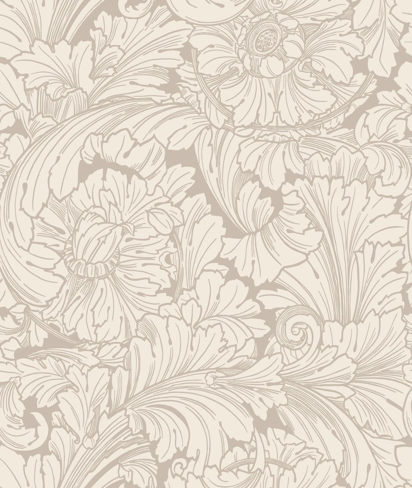 Cole & Son Acanthus - Cream & Pebble
