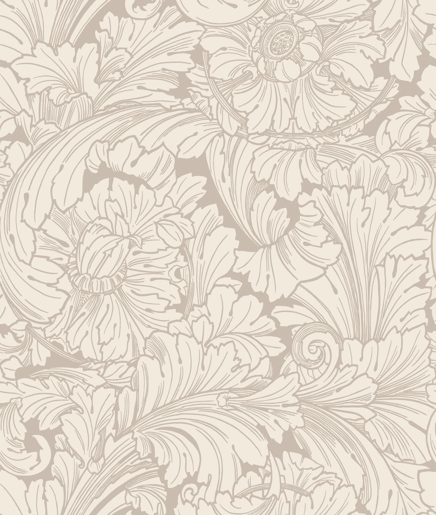 Cole & Son Acanthus - Cream & Pebble