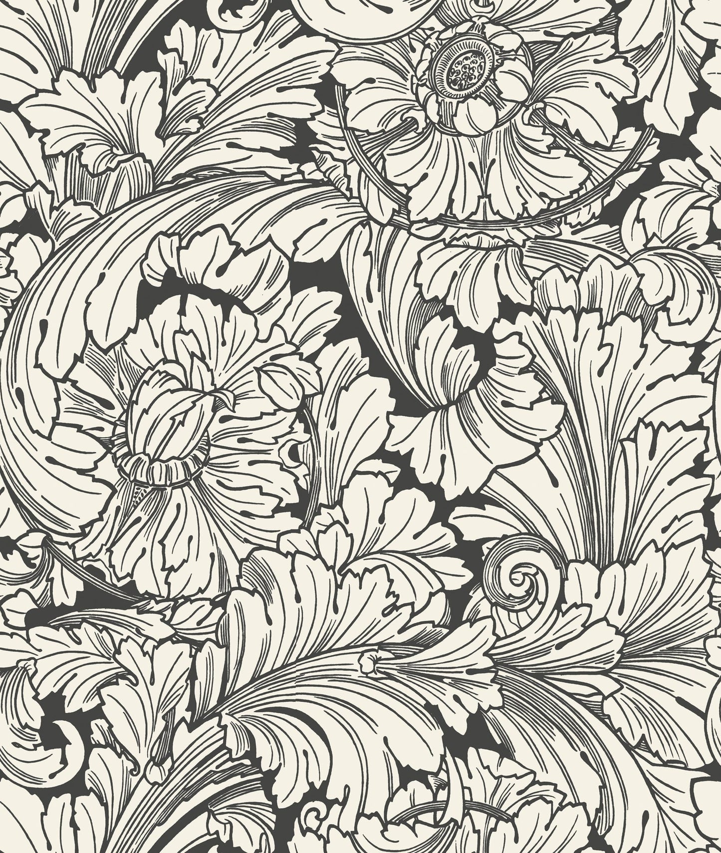 Cole & Son Acanthus - Soot & Snow
