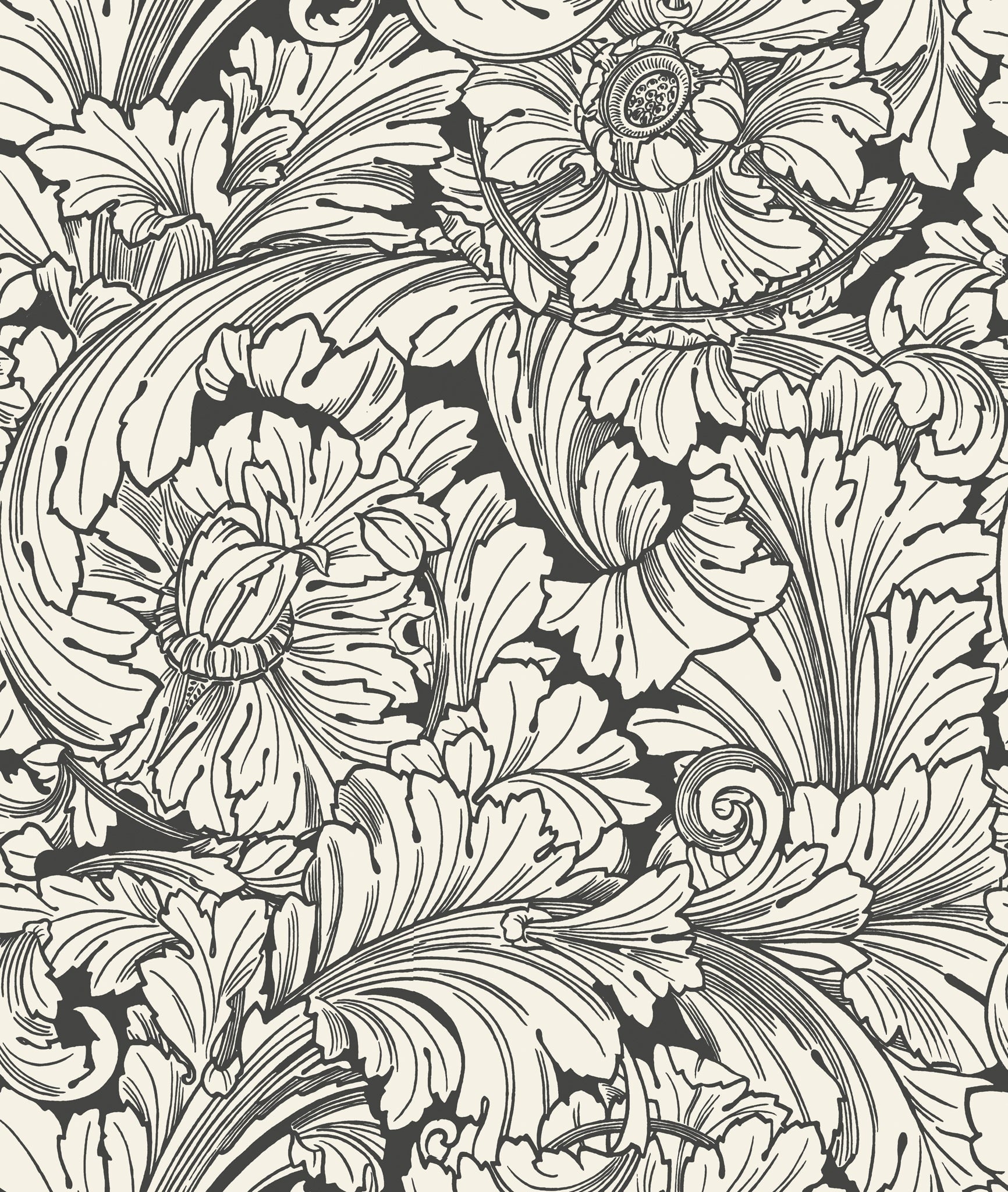 Cole & Son Acanthus - Soot & Snow