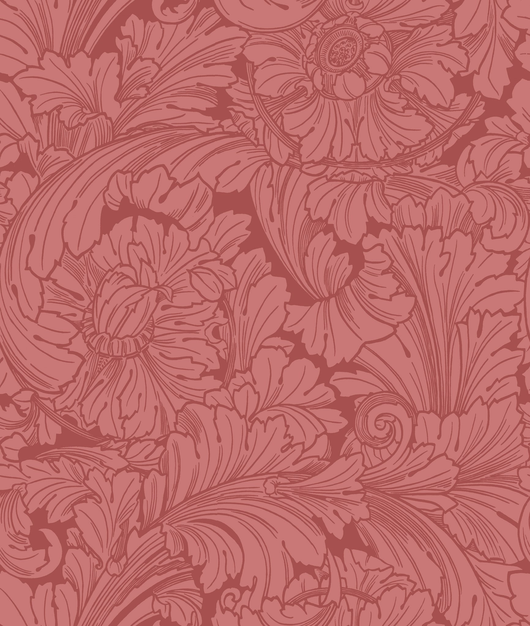 Cole & Son Acanthus - Stately Home Red