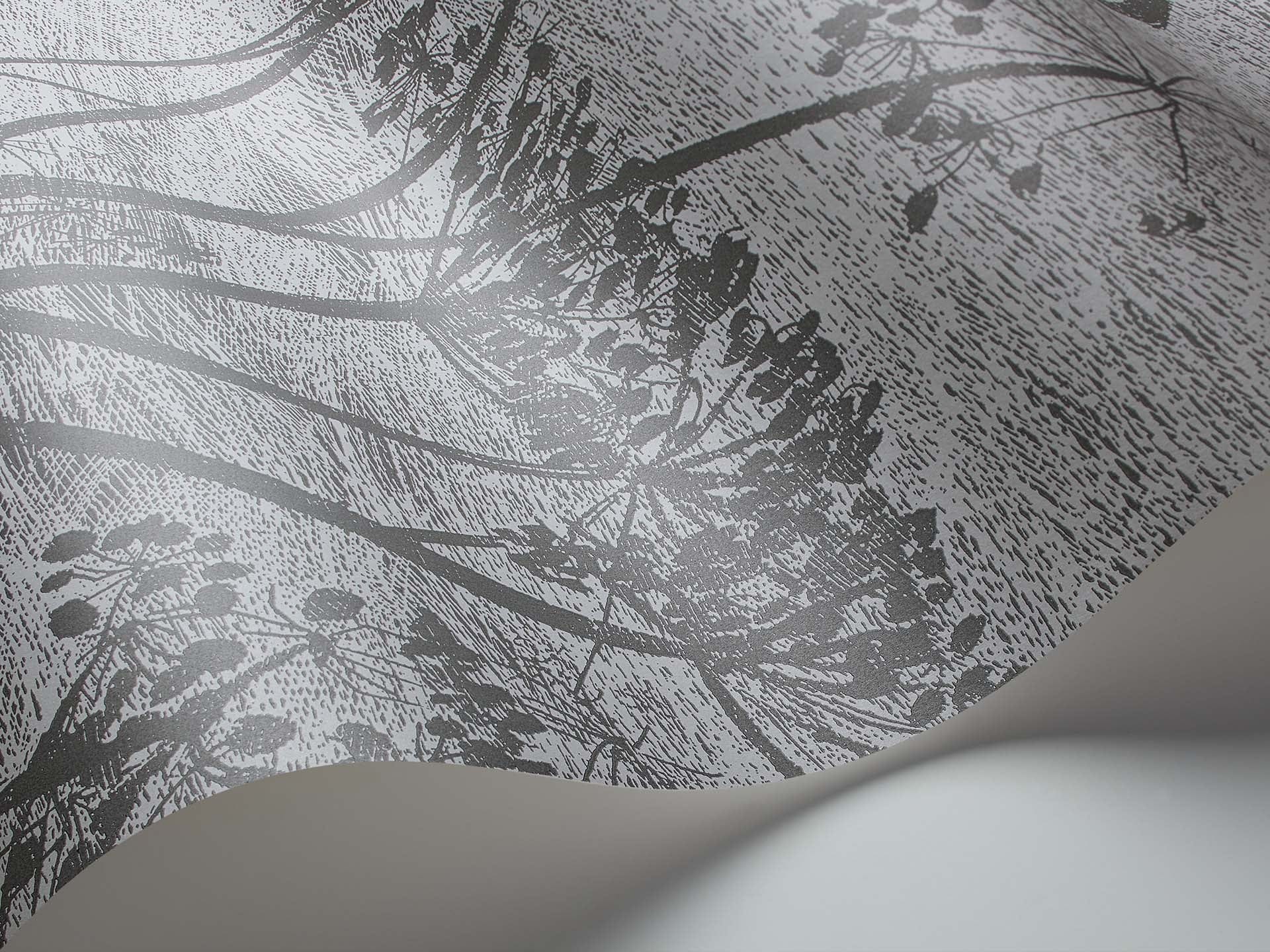 Cole & Son Cow Parsley - interior