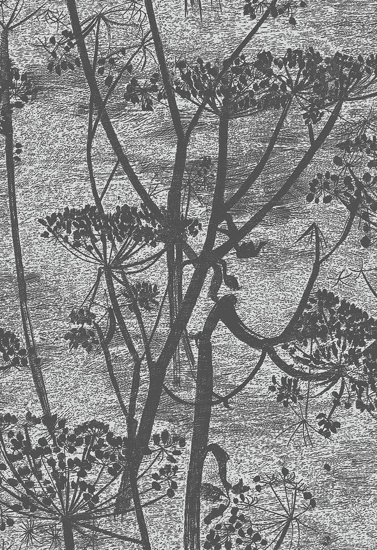 Cole & Son Cow Parsley - Charcoal