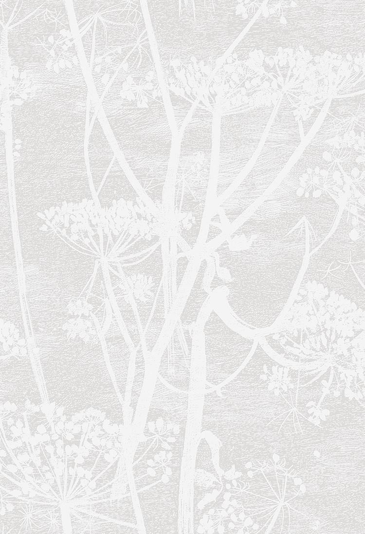Cole & Son Cow Parsley - Parchment