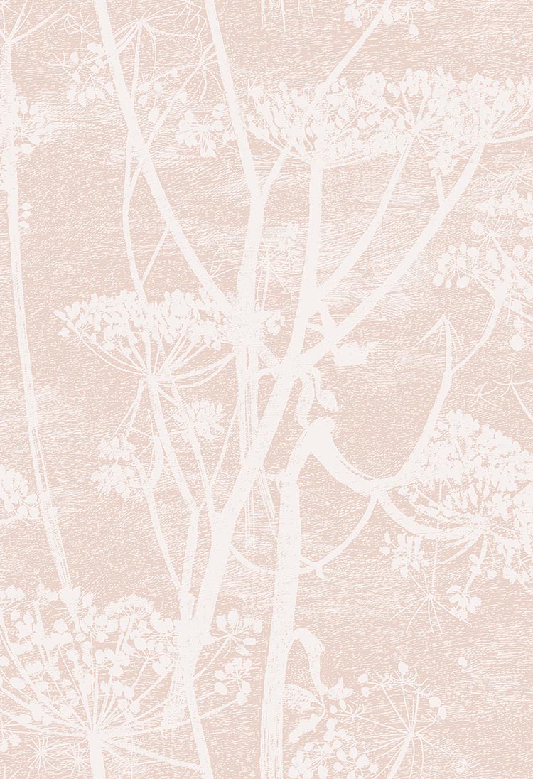 Cole & Son Cow Parsley - Ballet Slipper