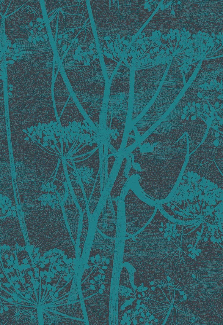 Cole & Son Cow Parsley - Petrol & Ink