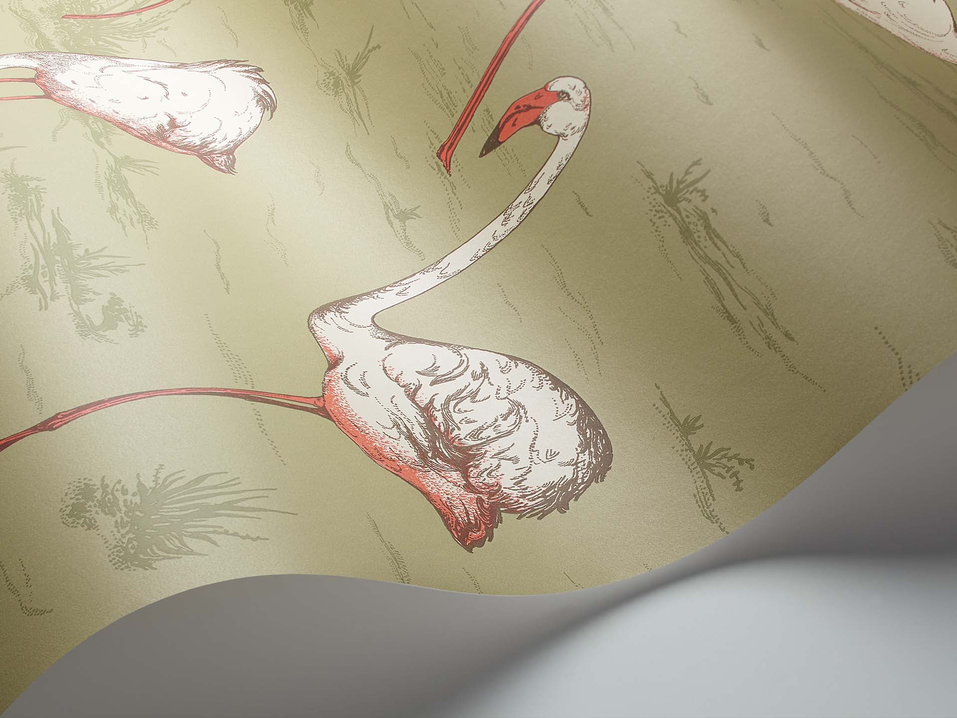 Cole & Son Flamingos - interior