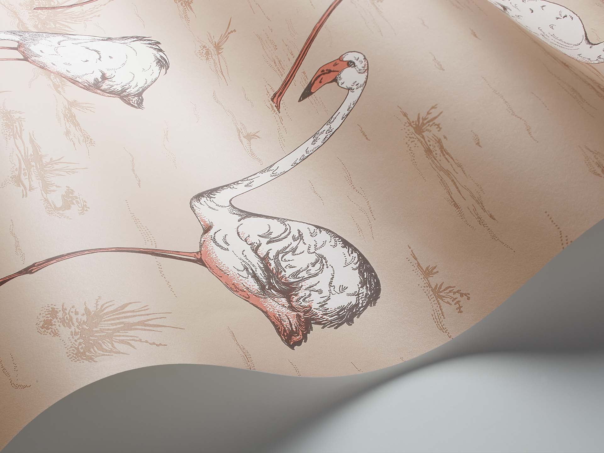 Cole & Son Flamingos - interior