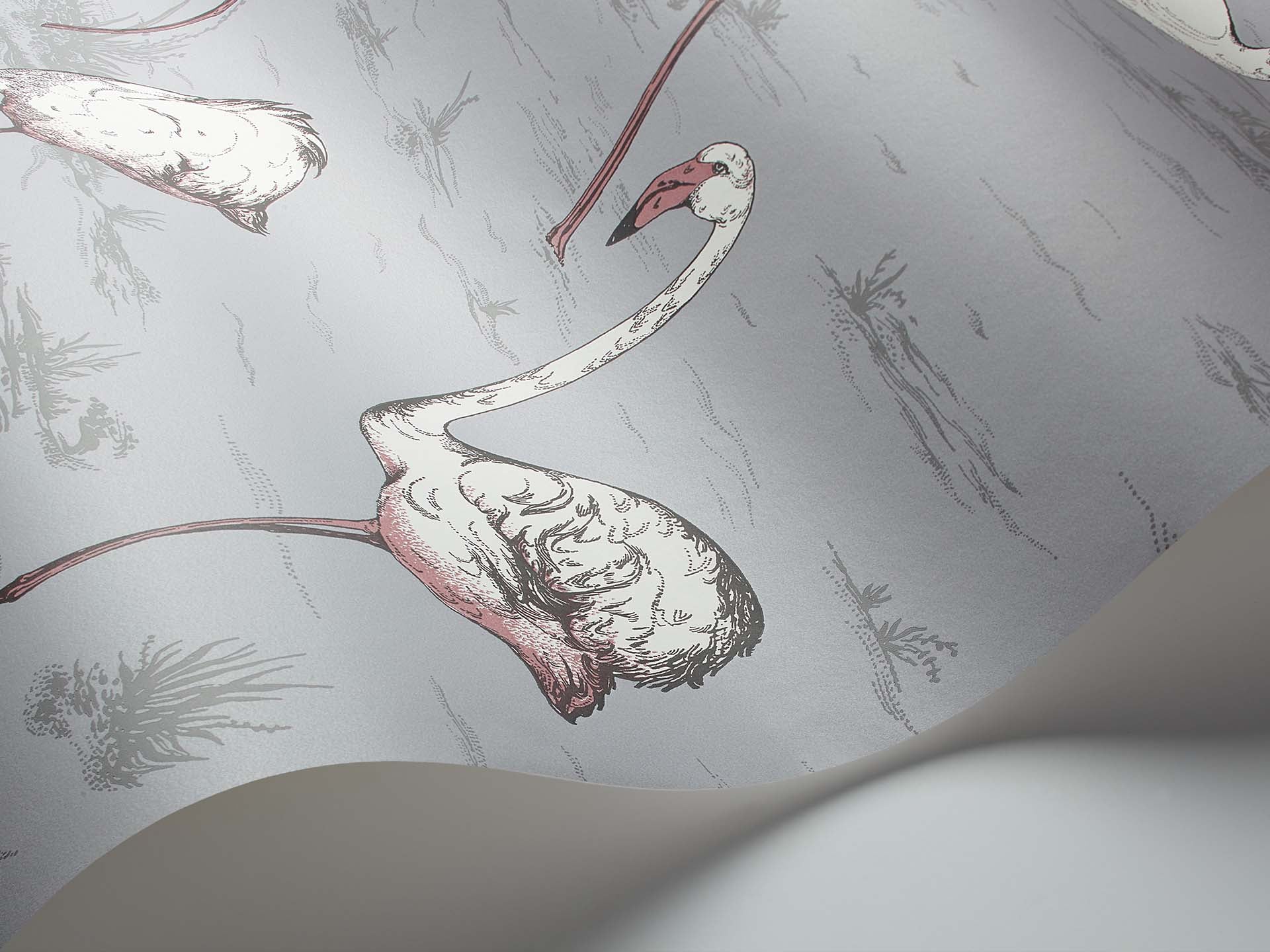 Cole & Son Flamingos - interior