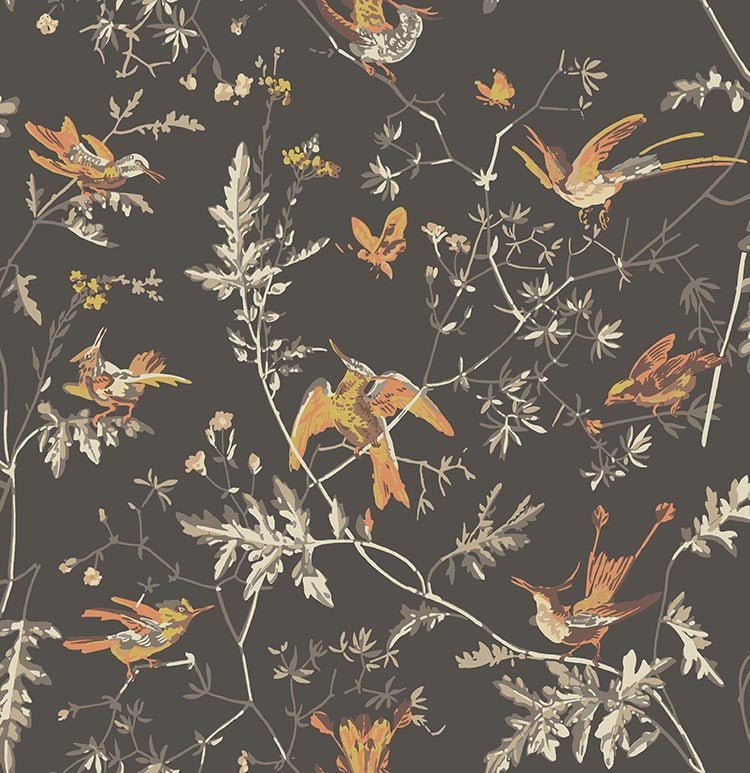 Cole & Son Hummingbirds - Charcoal & Ginger