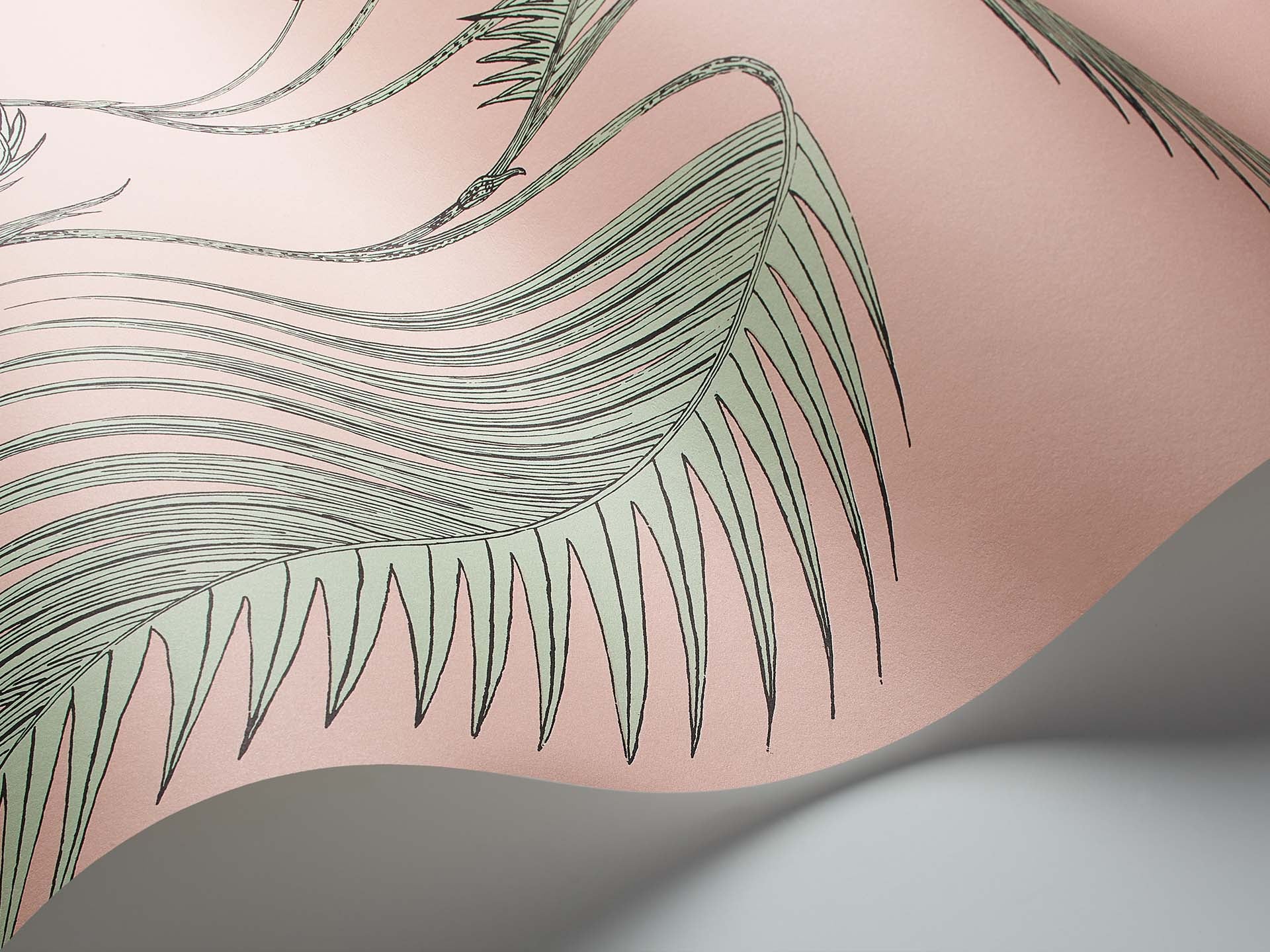 Cole & Son Palm Leaves - interior