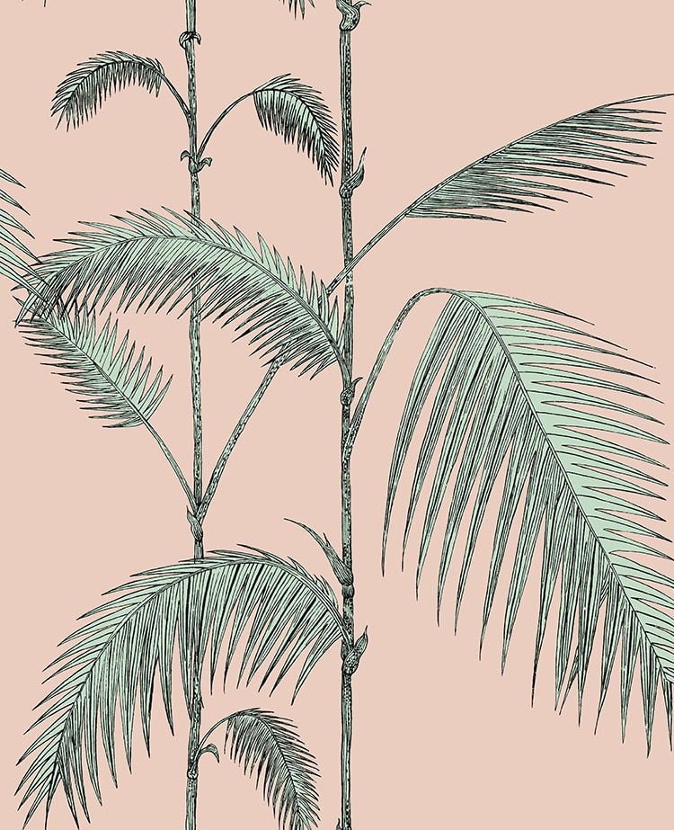 Cole & Son Palm Leaves - Alabaster Pink & Mint