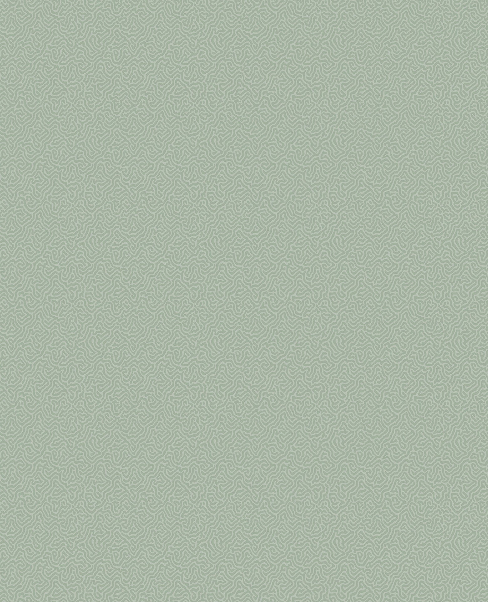 Cole & Son Coral - Dark Duck Egg