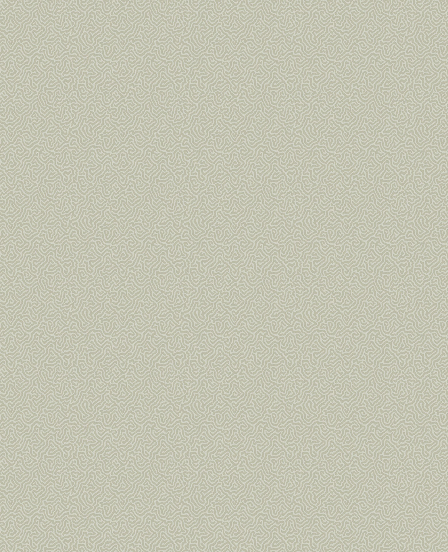 Cole & Son Coral - Soft Olive