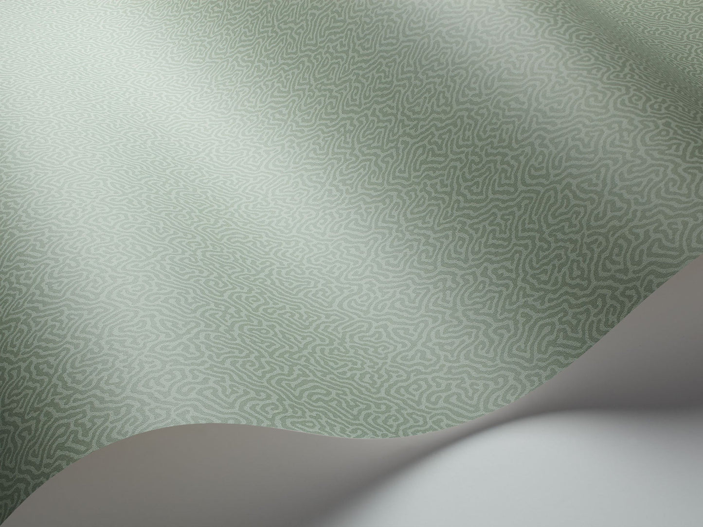 Cole & Son Coral - interior