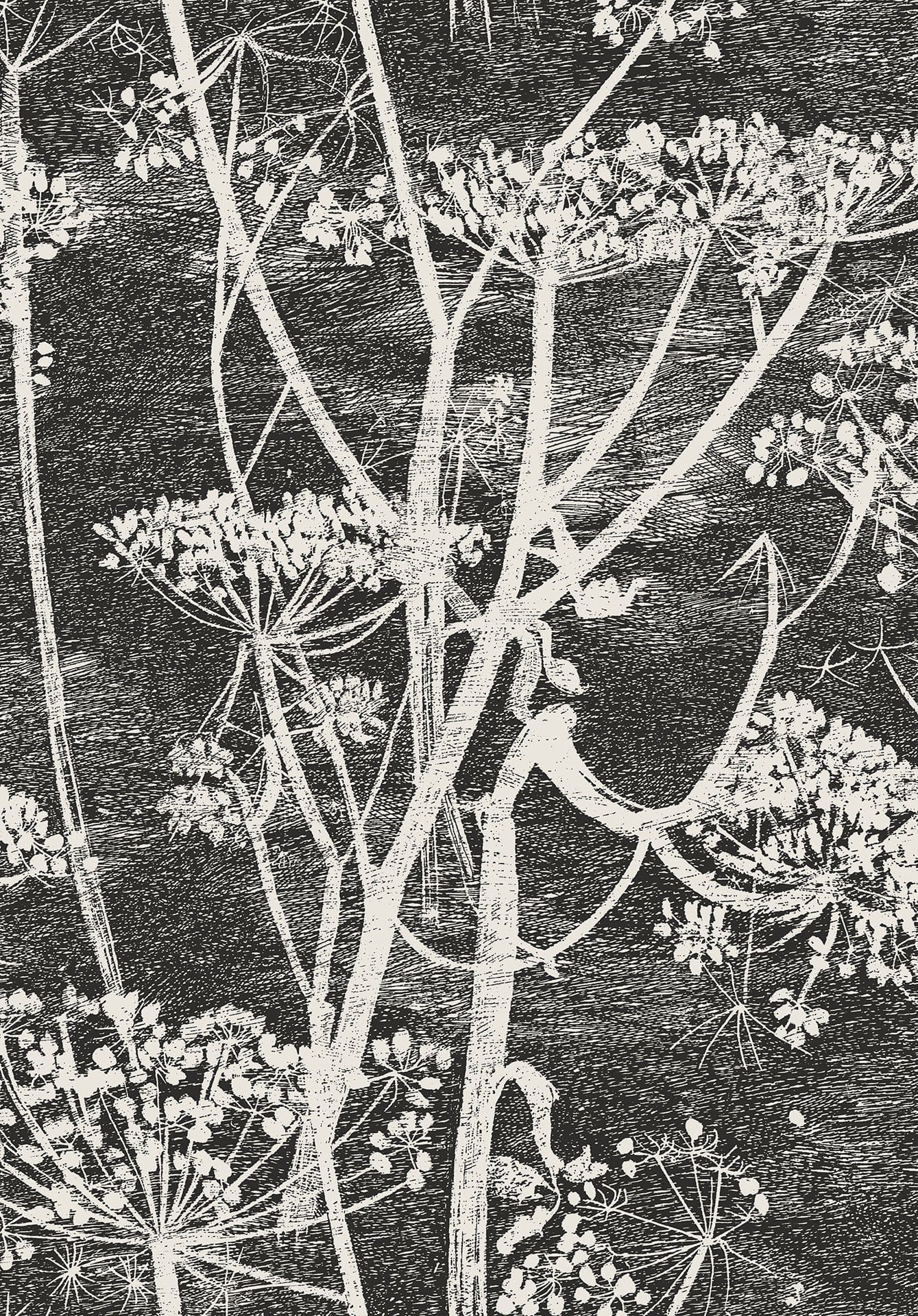 Cole & Son Cow Parsley wallpaper - Soot & Snow