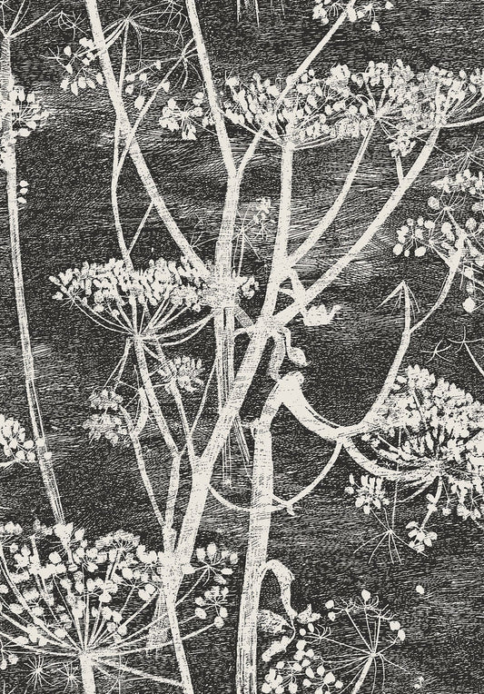Cole & Son Cow Parsley wallpaper - Soot & Snow