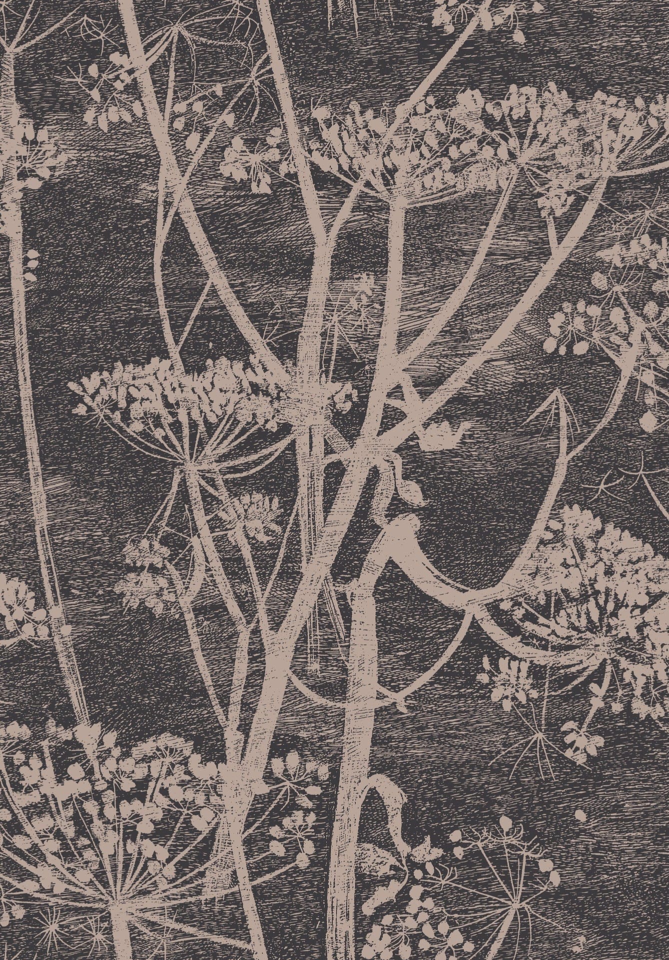 Cole & Son Cow Parsley - Linen & Charcoal
