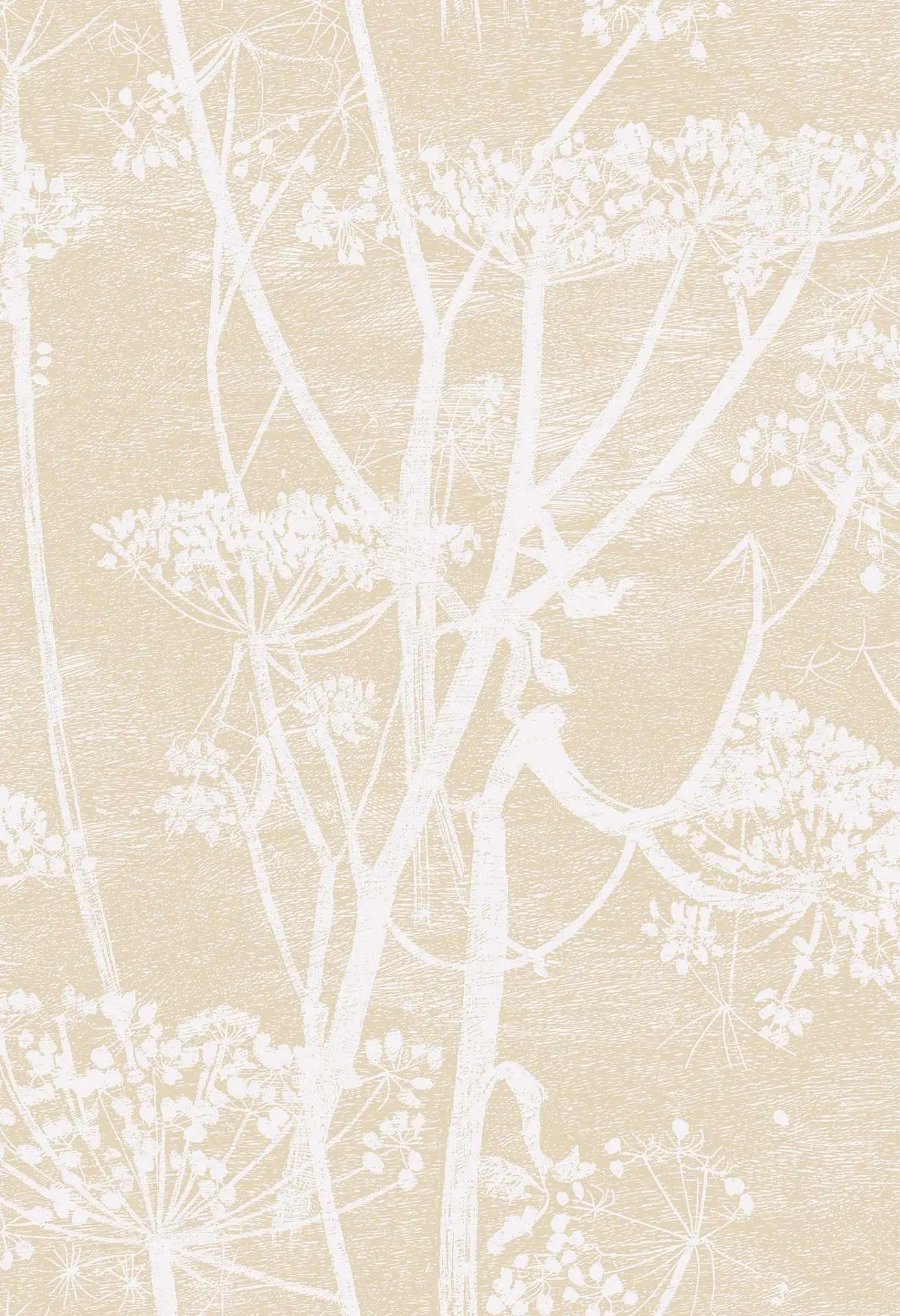 Cole & Son Cow Parsley - Cream & Oat