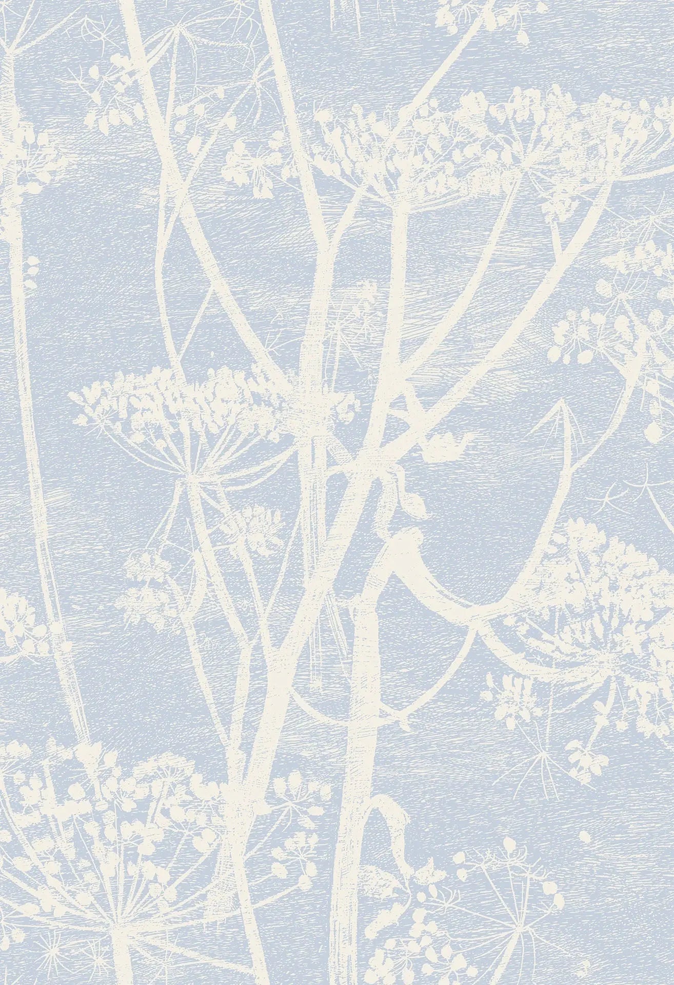 Cole & Son Cow Parsley - Buttercup & Powder Blue