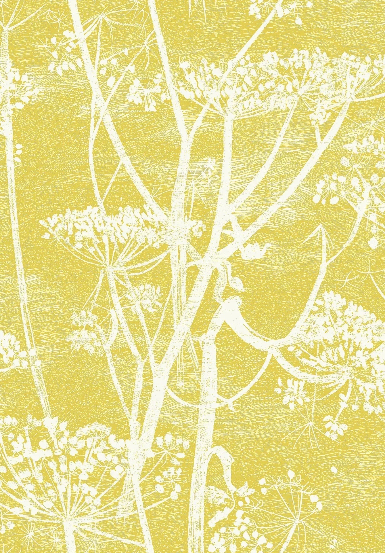 Cole & Son Cow Parsley - White & Chartreuse