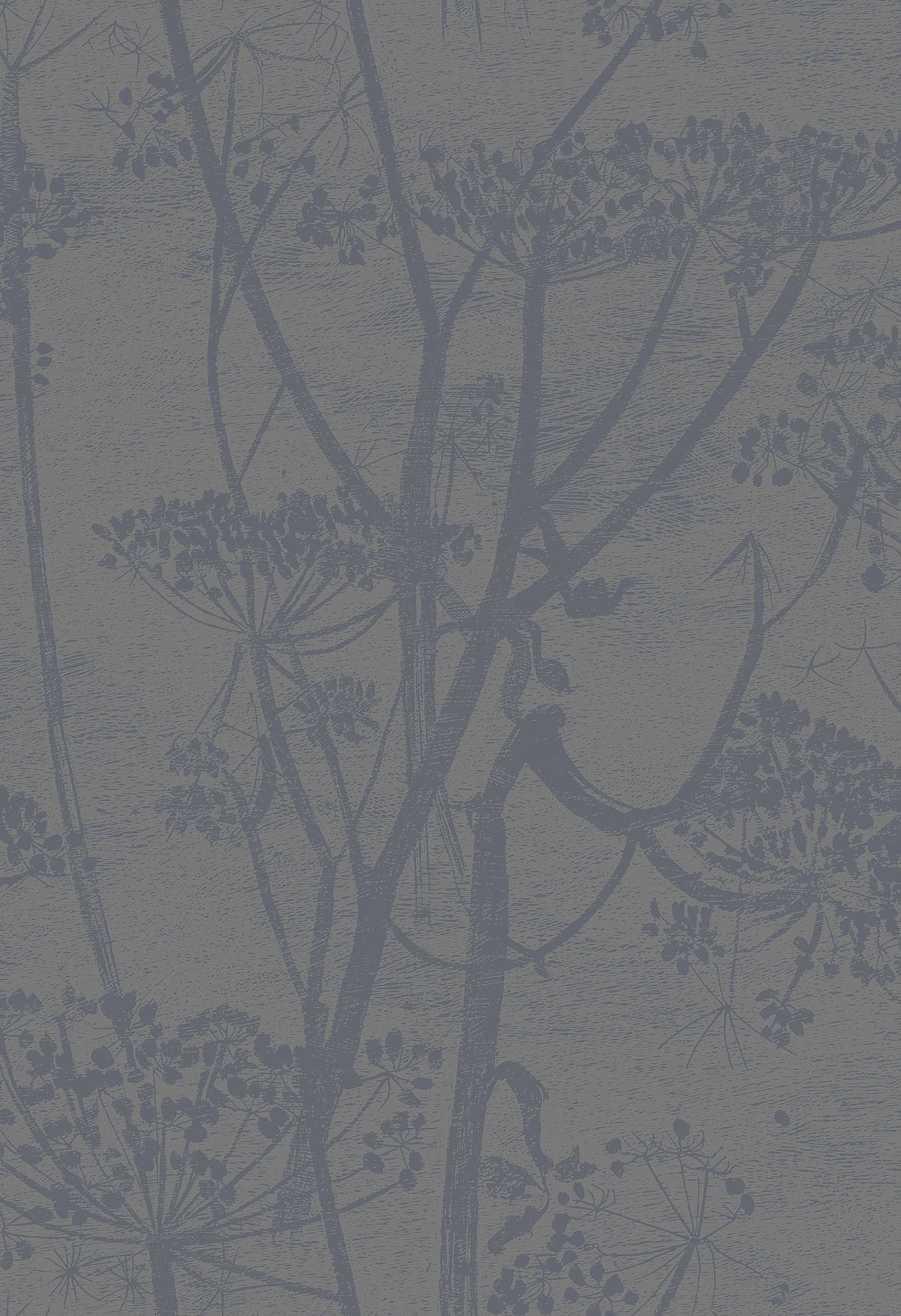 Cole & Son Cow Parsley - Charcoal & Metallic Gilver