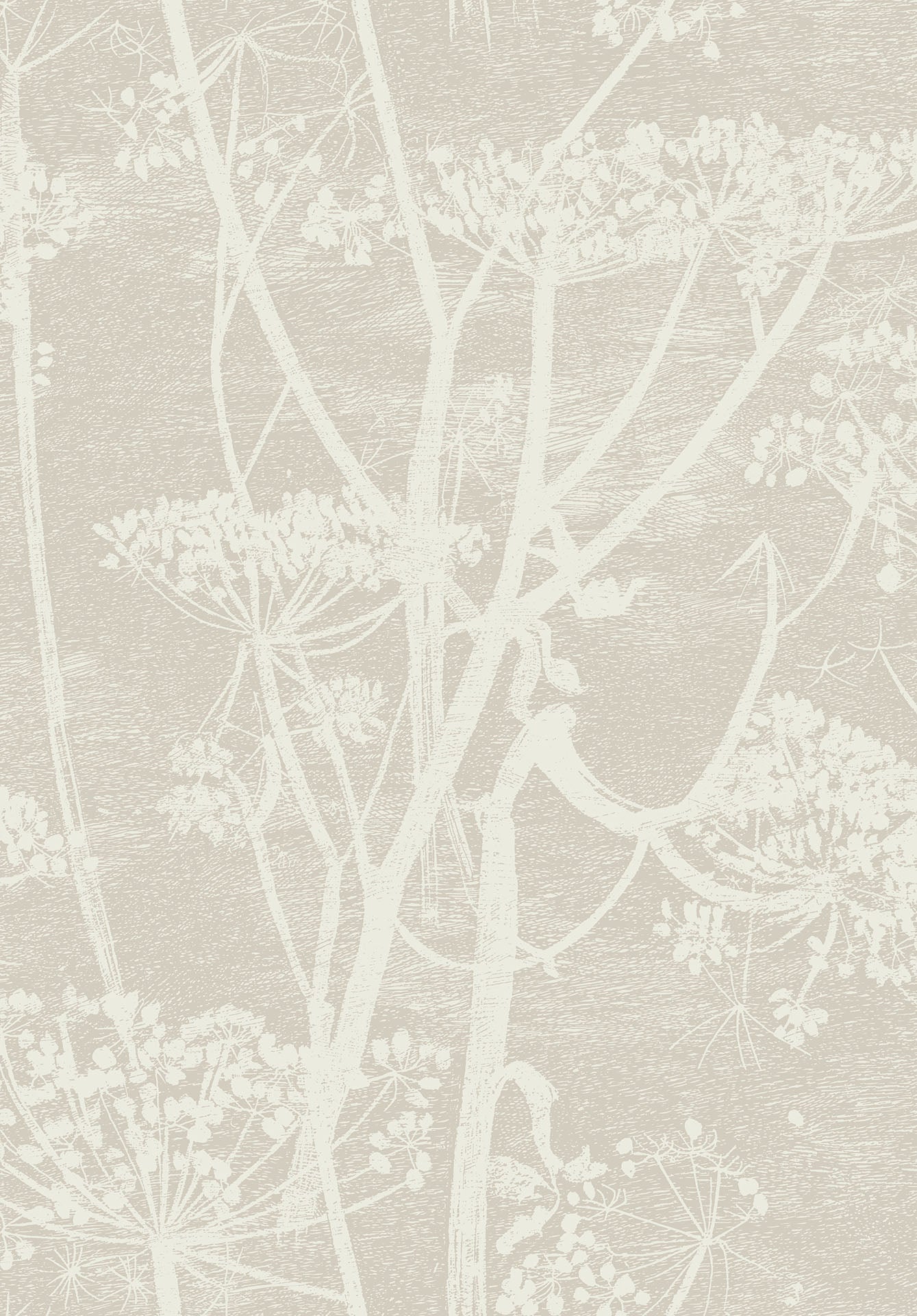 Cole & Son Cow Parsley - Stone & White
