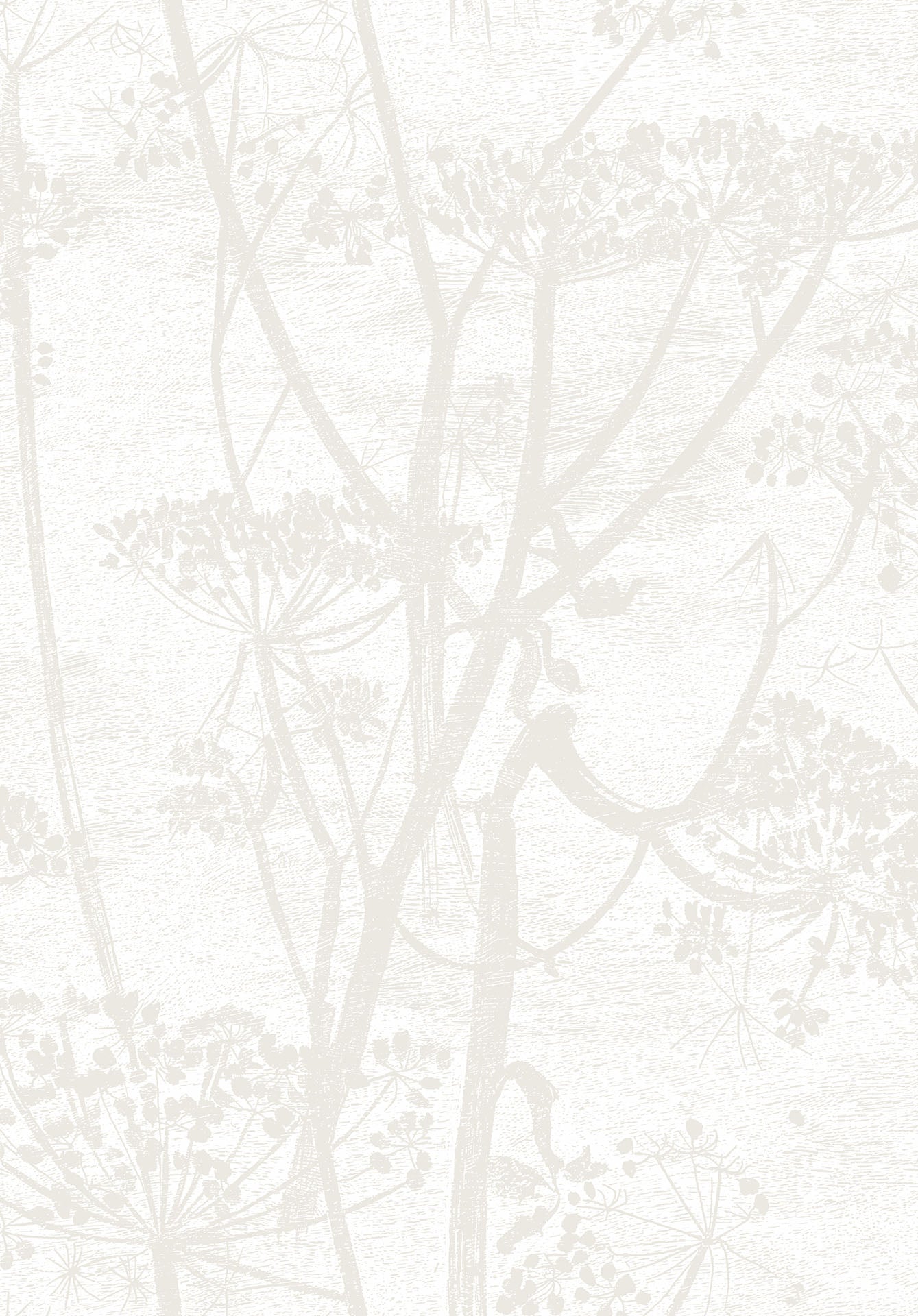 Cole & Son Cow Parsley - Chalk and Parchment