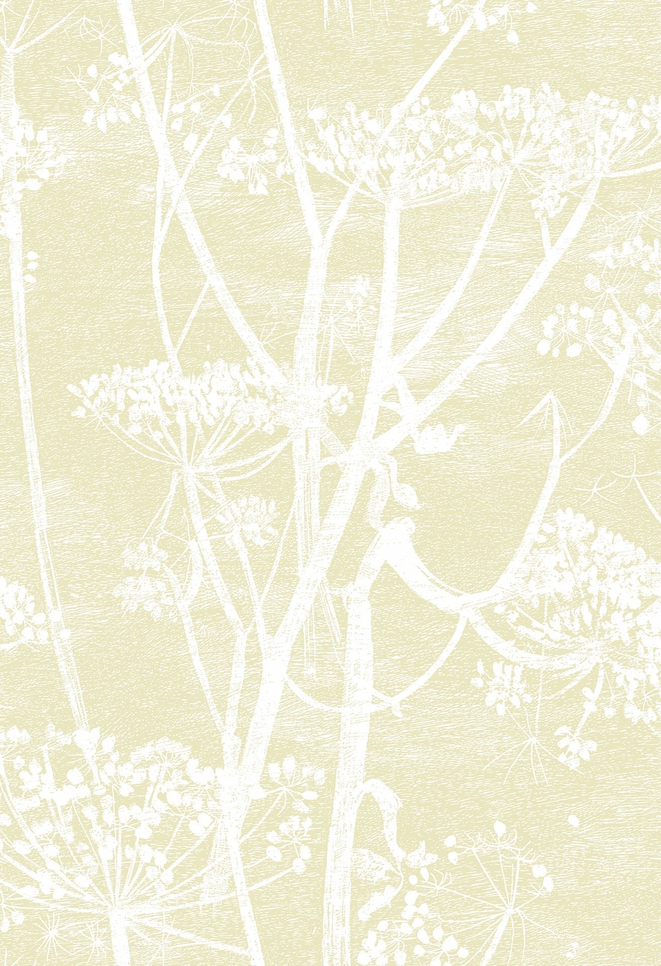 Cole & Son Cow Parsley - White & Soft Yellow