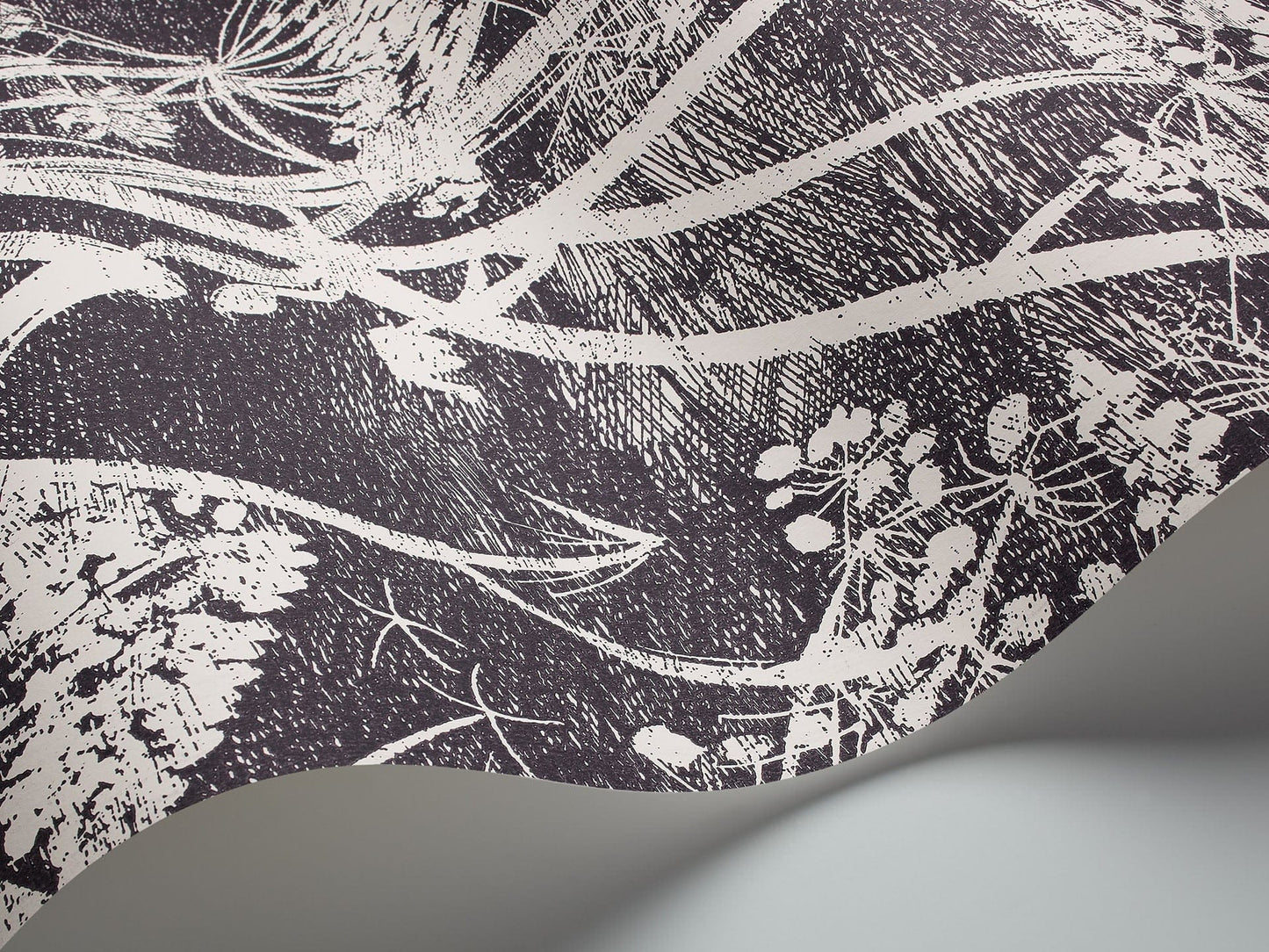 Cole & Son Cow Parsley - interior