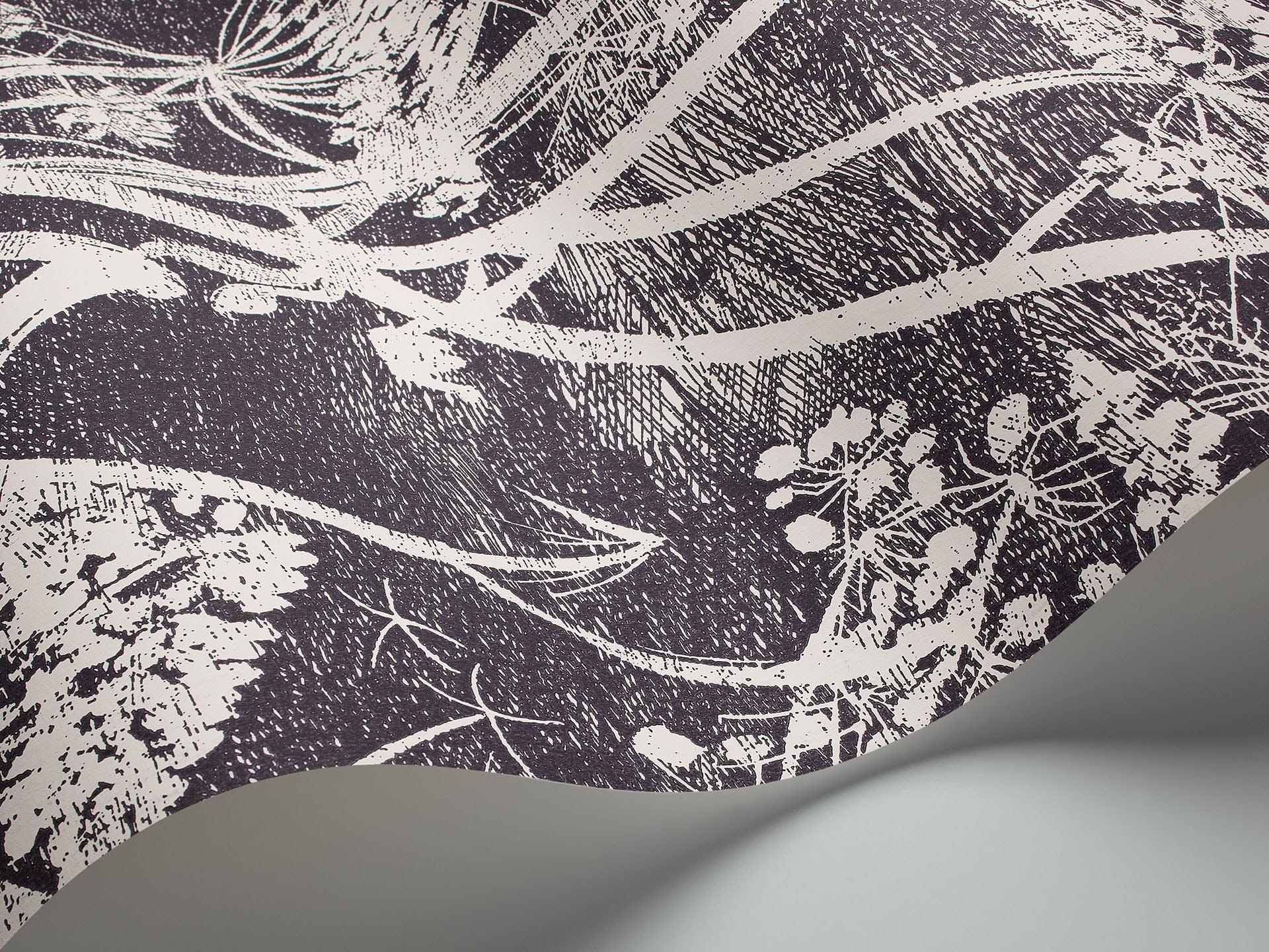 Cole & Son Cow Parsley - interior