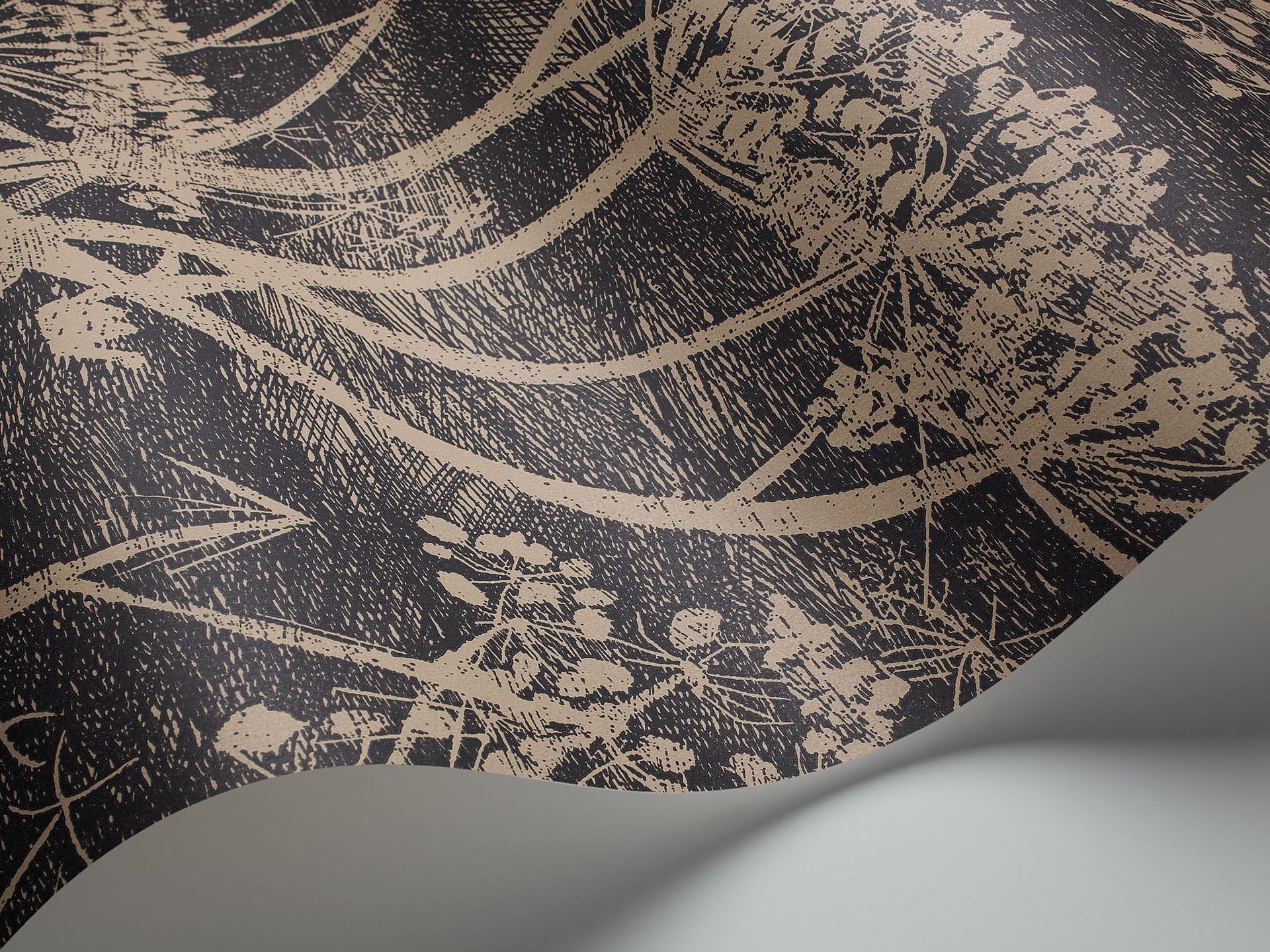 Cole & Son Cow Parsley - interior