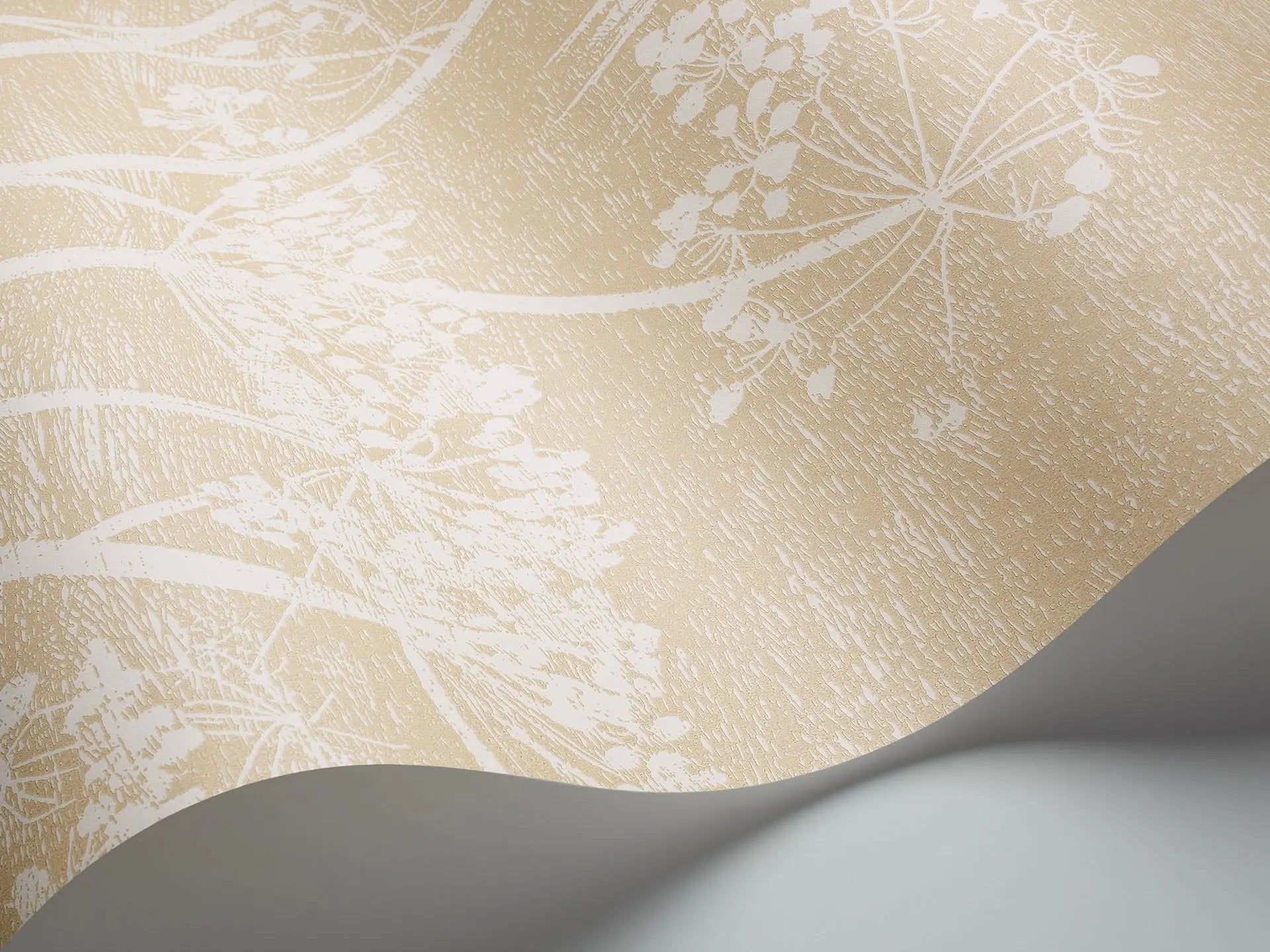 Cole & Son Cow Parsley - interior