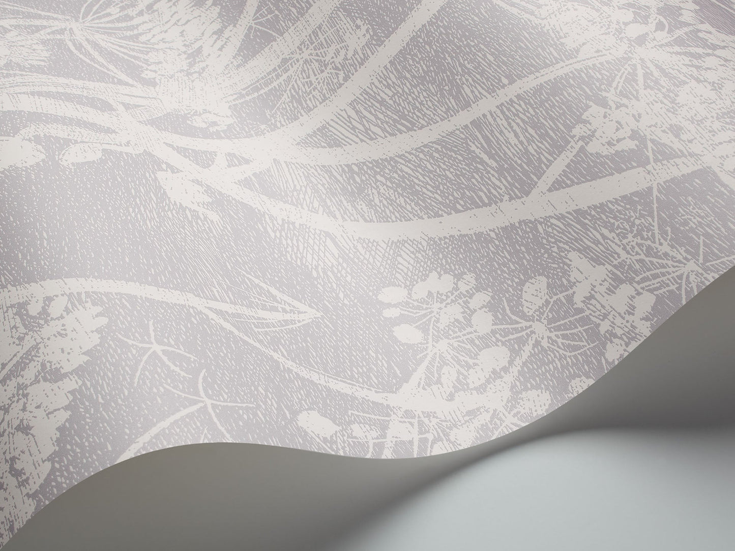 Cole & Son Cow Parsley - interior