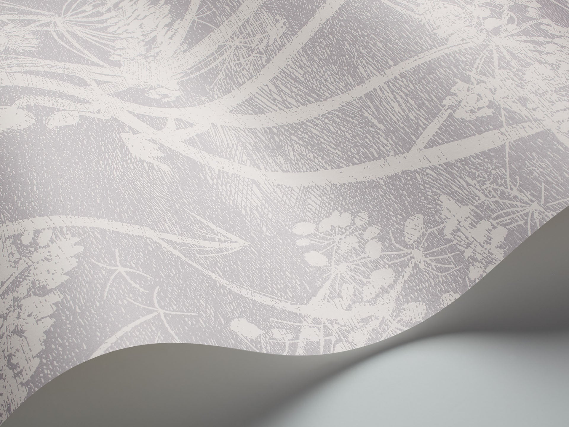 Cole & Son Cow Parsley - interior