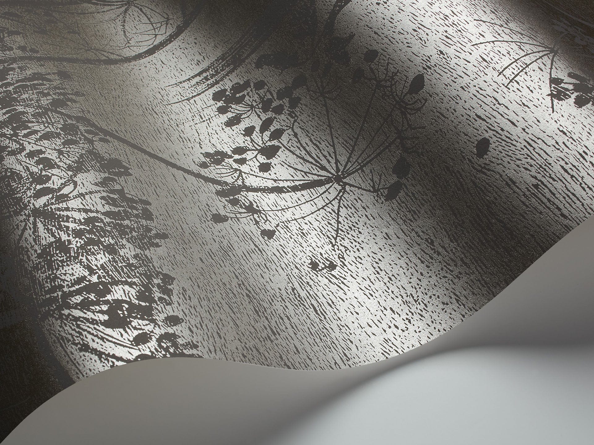 Cole & Son Cow Parsley - interior