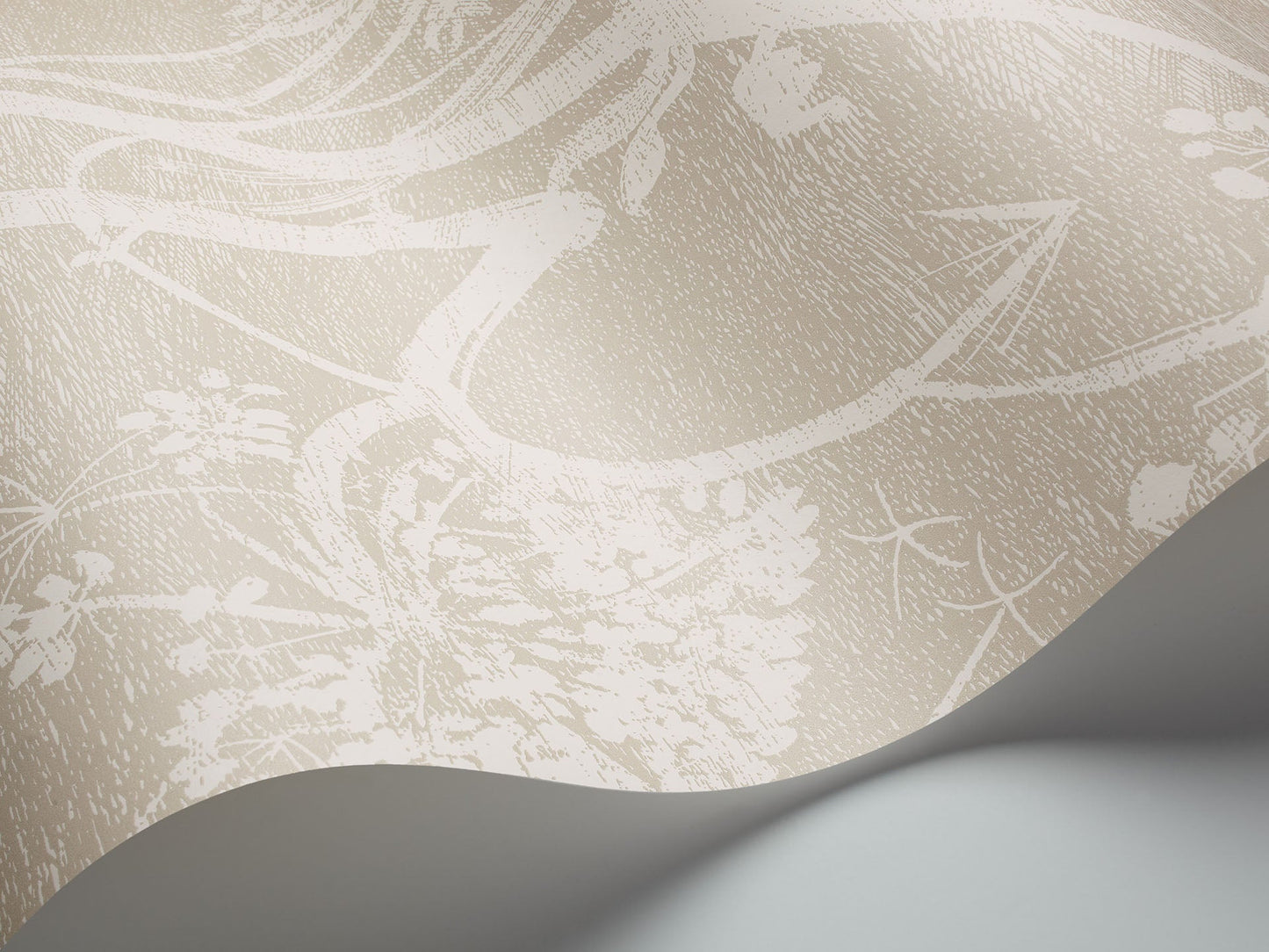 Cole & Son Cow Parsley - interior