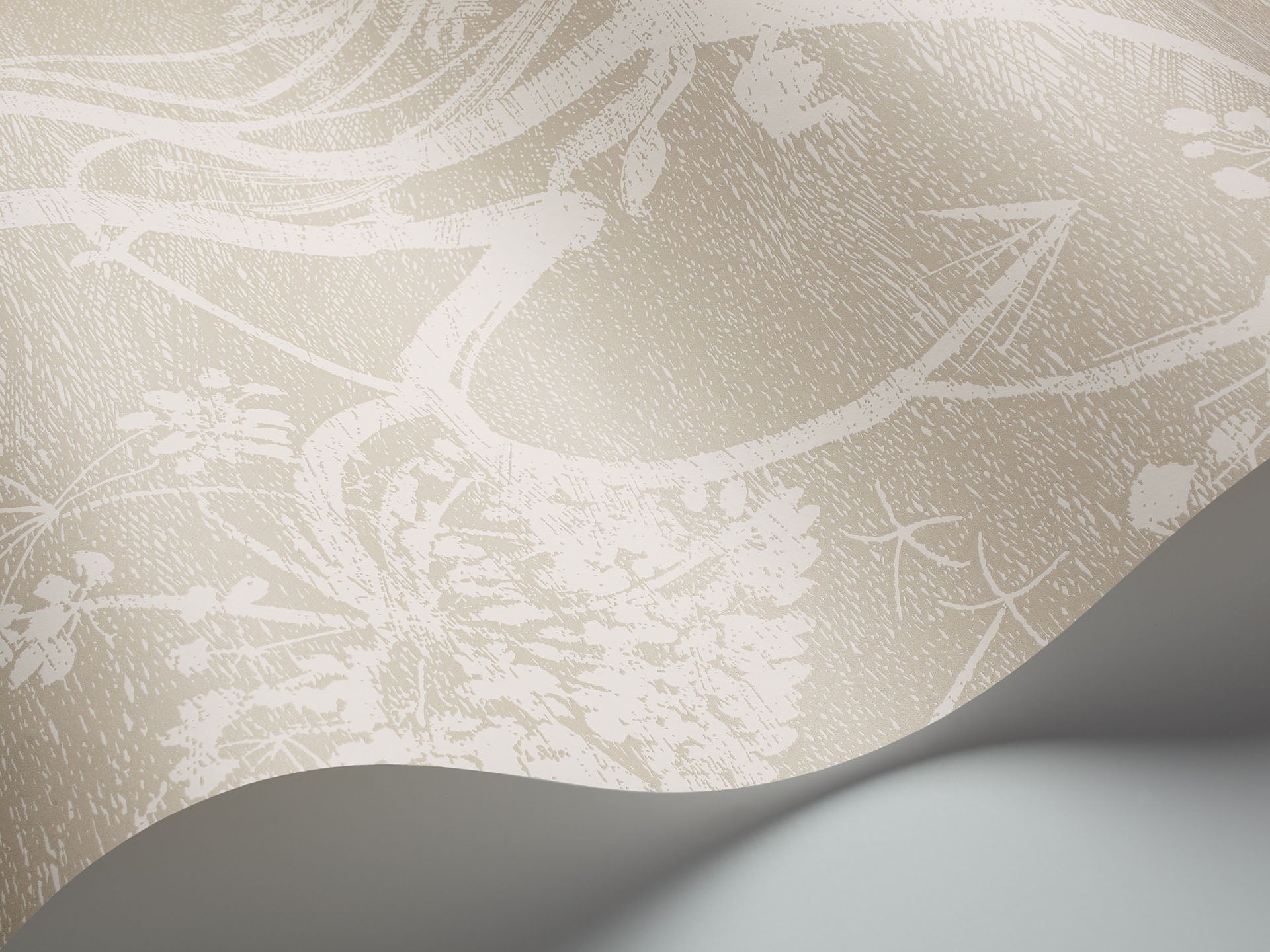 Cole & Son Cow Parsley - interior