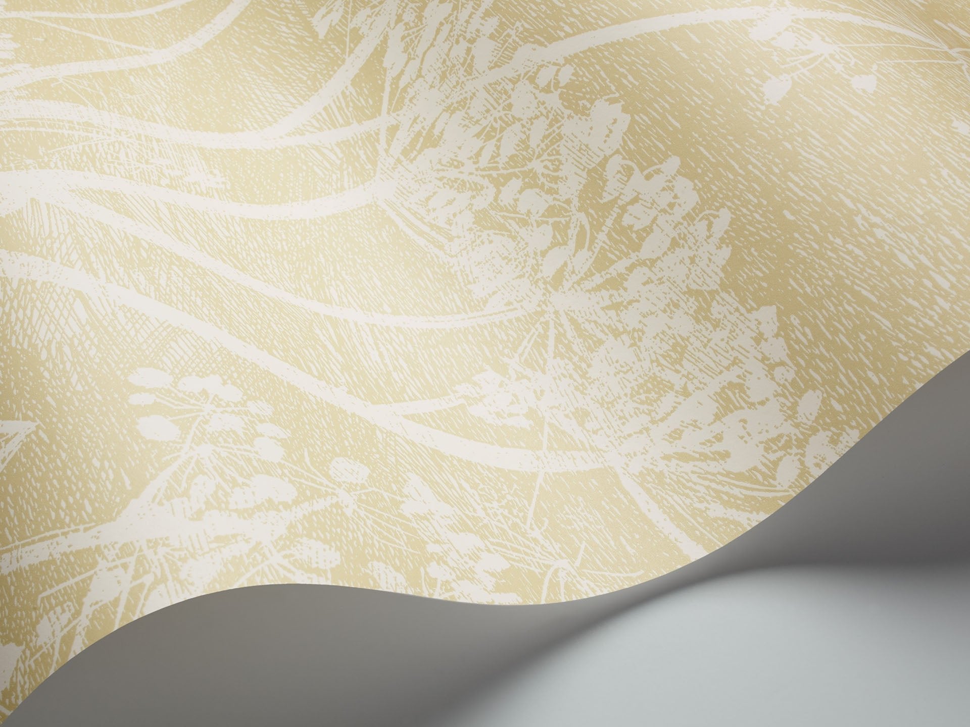 Cole & Son Cow Parsley - interior
