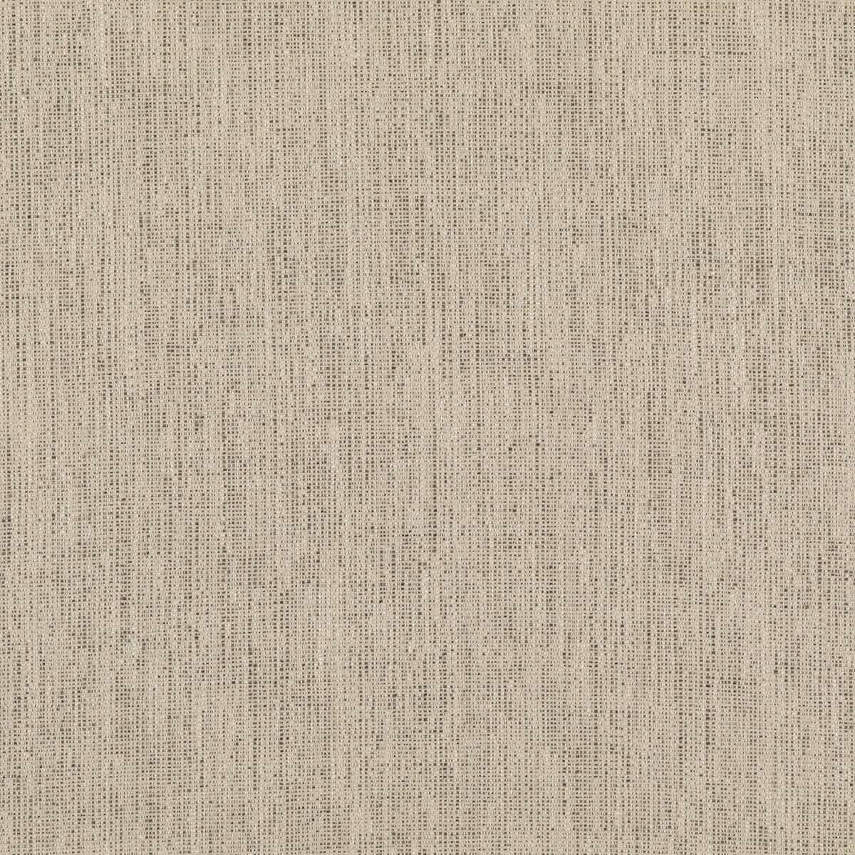 Threads | Stipple fabric - Charcoal