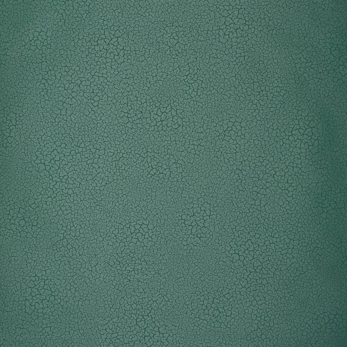 Raku - EDM10