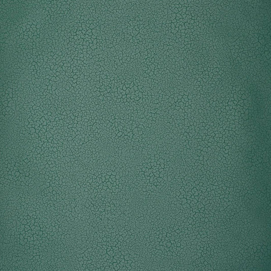 Raku - EDM10