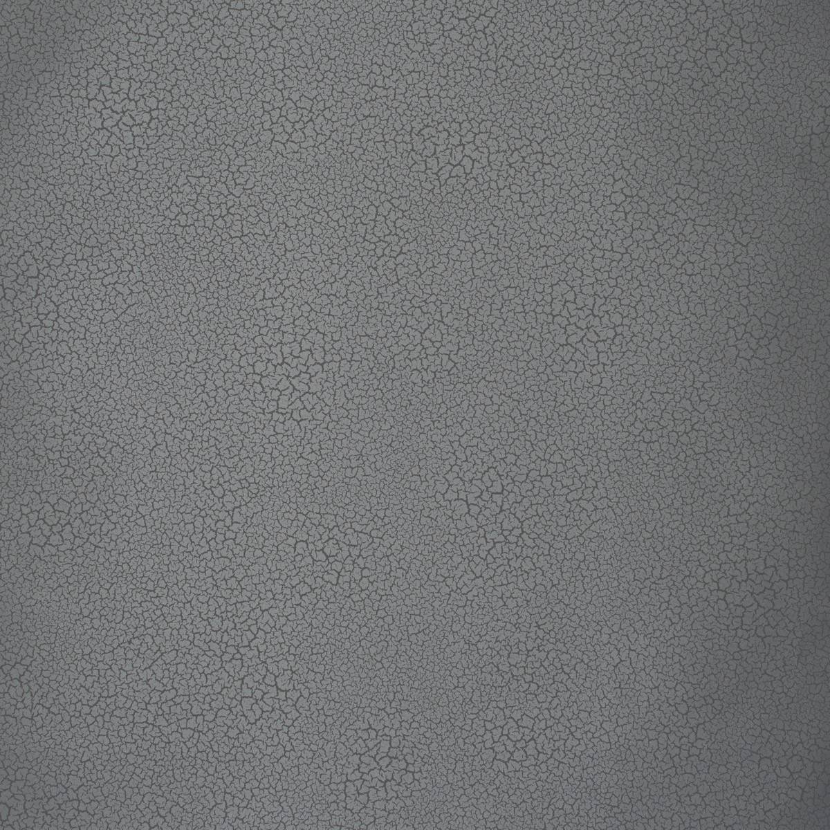 Raku - EDM11