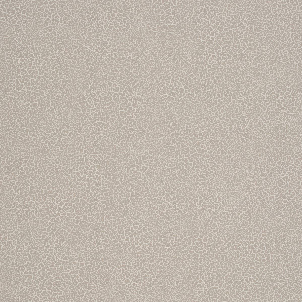 Raku - EDM16