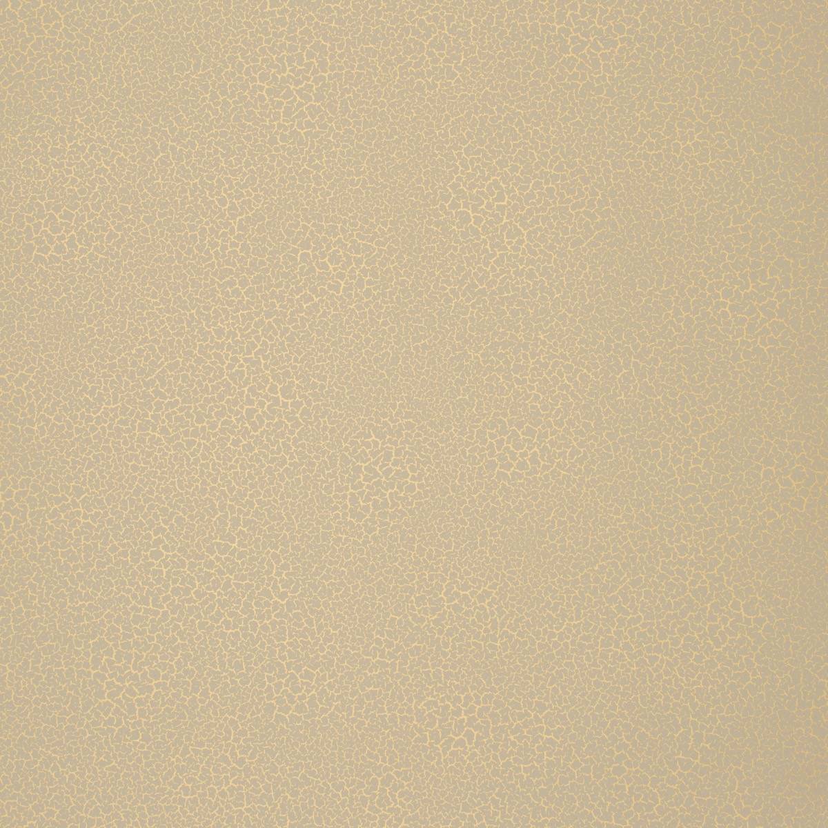 Raku - EDM19