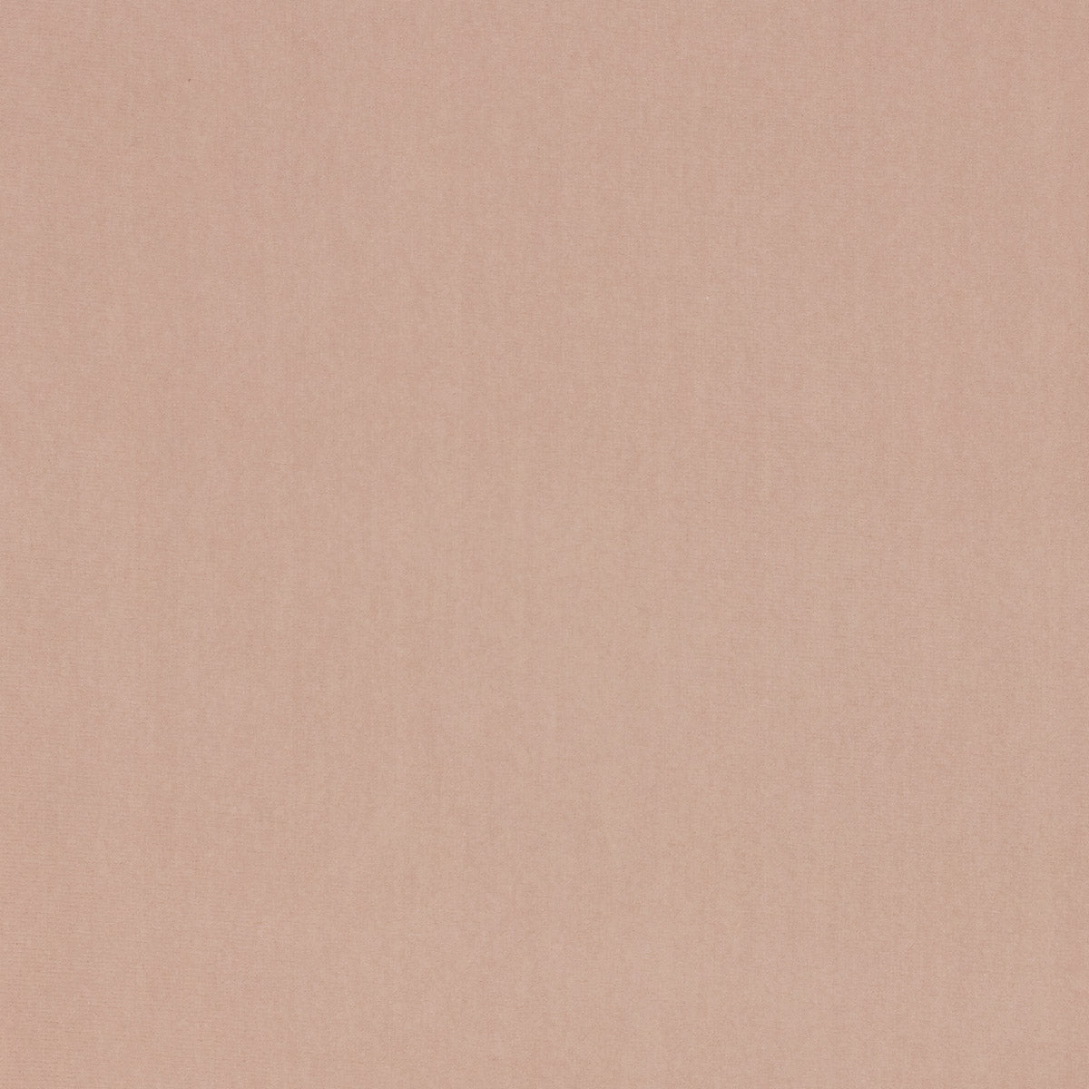 Lizzo | Eternal fabric - 02