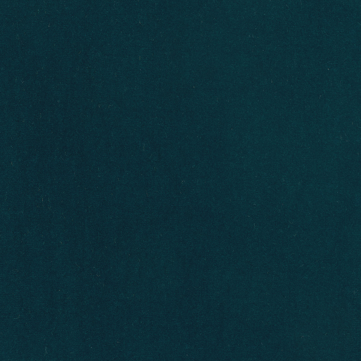 Lizzo | Eternal fabric - 14